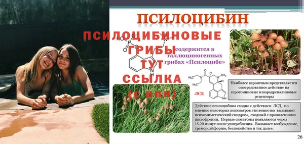 дживик Алзамай
