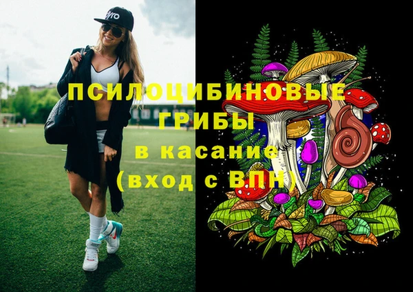 PSILOCYBIN Абаза