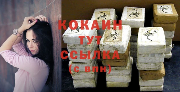 дживик Алзамай
