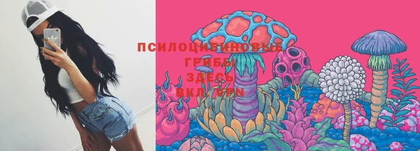 твердый Алексеевка