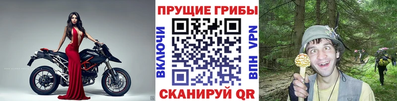 наркотики  Грязи  Псилоцибиновые грибы мухоморы 