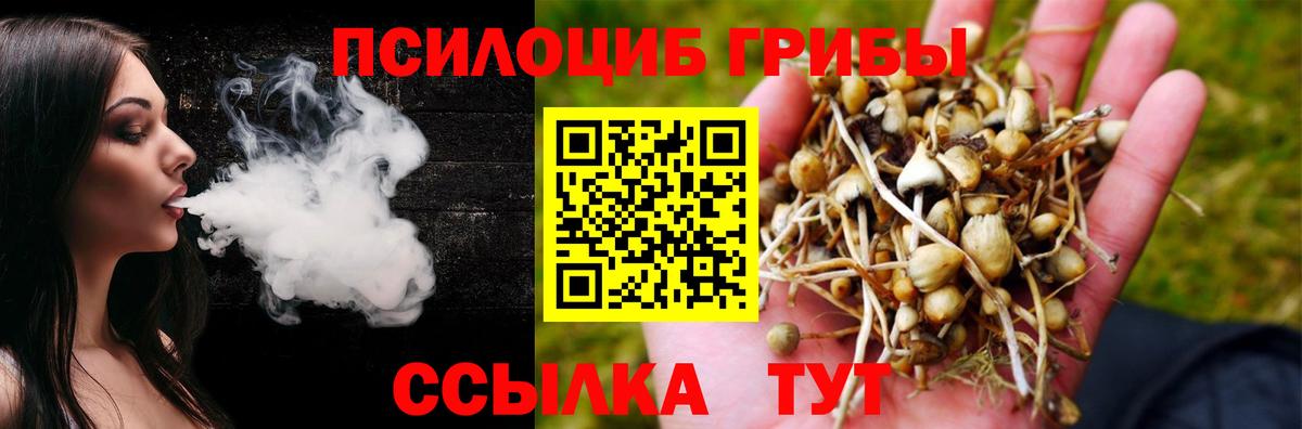 Галлюциногенные грибы мухоморы Грязи